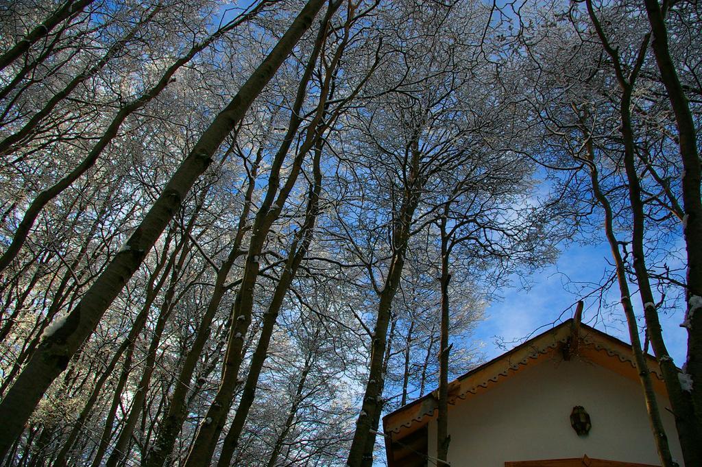 Familia Piatti B&B - Suites Ushuaia Exterior photo